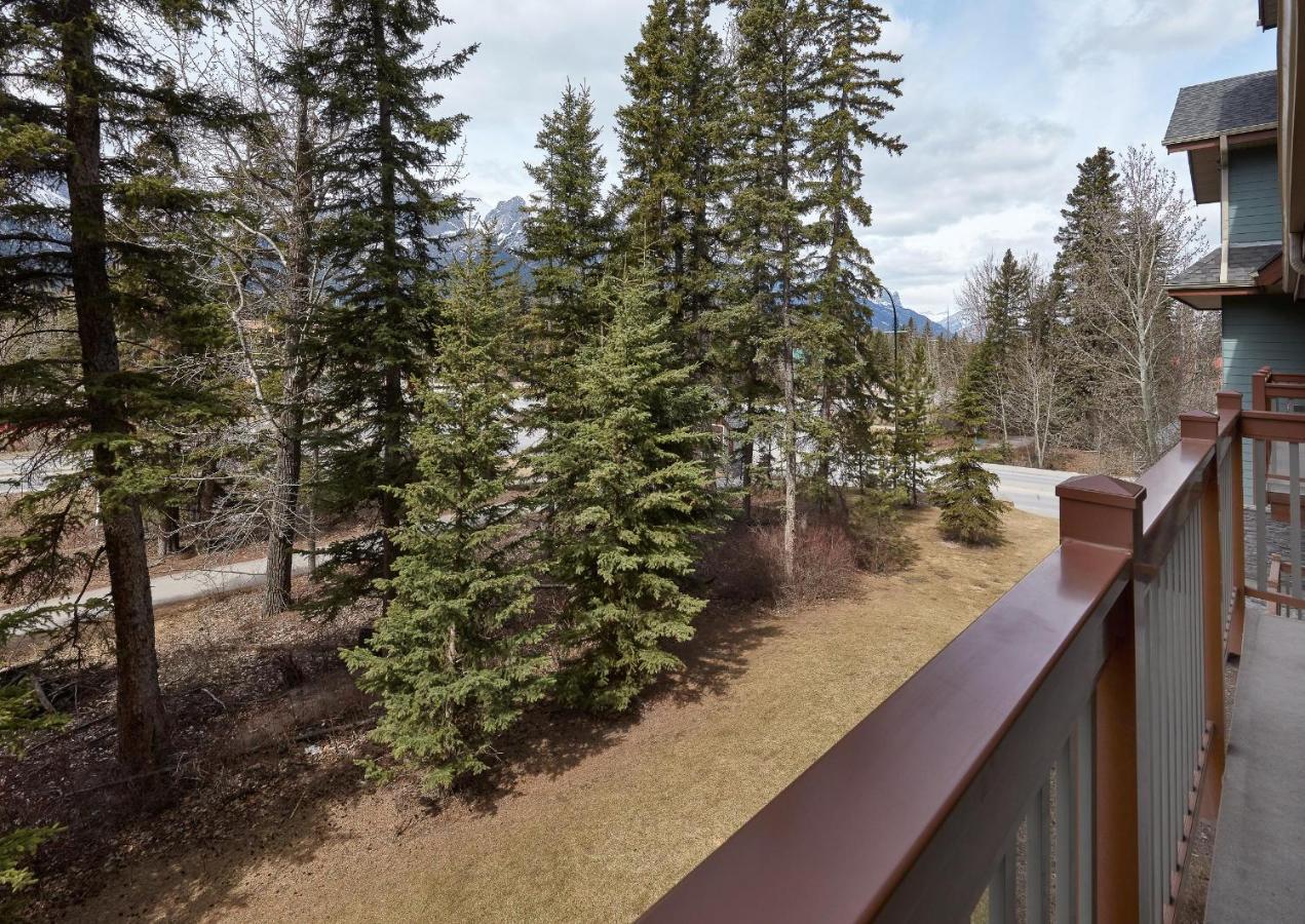 Newly Renovated Grizzly Lodge, Spacious 3Br 2Ba With Open Pool, Hot Tub Canmore Eksteriør billede