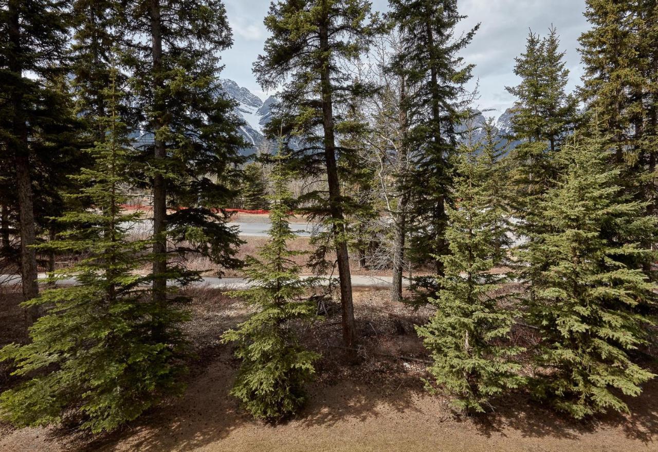 Newly Renovated Grizzly Lodge, Spacious 3Br 2Ba With Open Pool, Hot Tub Canmore Eksteriør billede